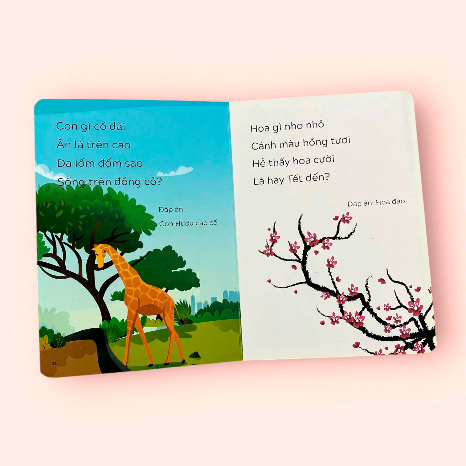 Câu Đố Tư Duy Cho Trẻ Tập Nói - Tập Đọc