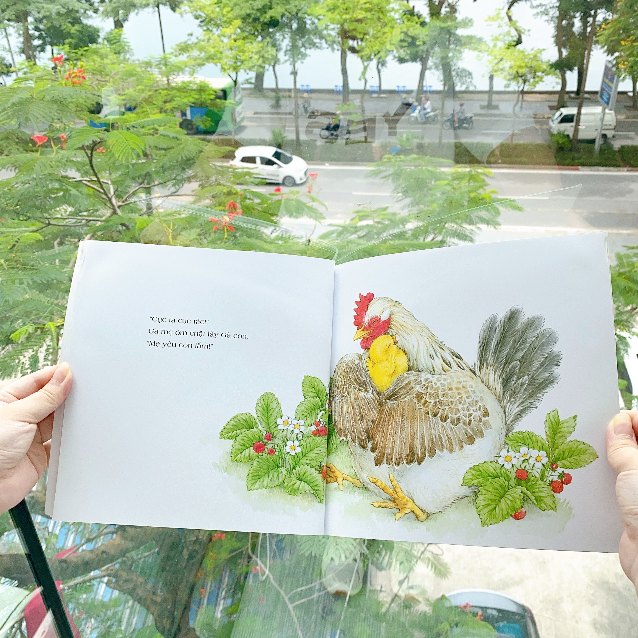 Truyện Ehon bé 1-2-3 tuổi - Bộ 4 cuốn Em bé biết yêu thương
