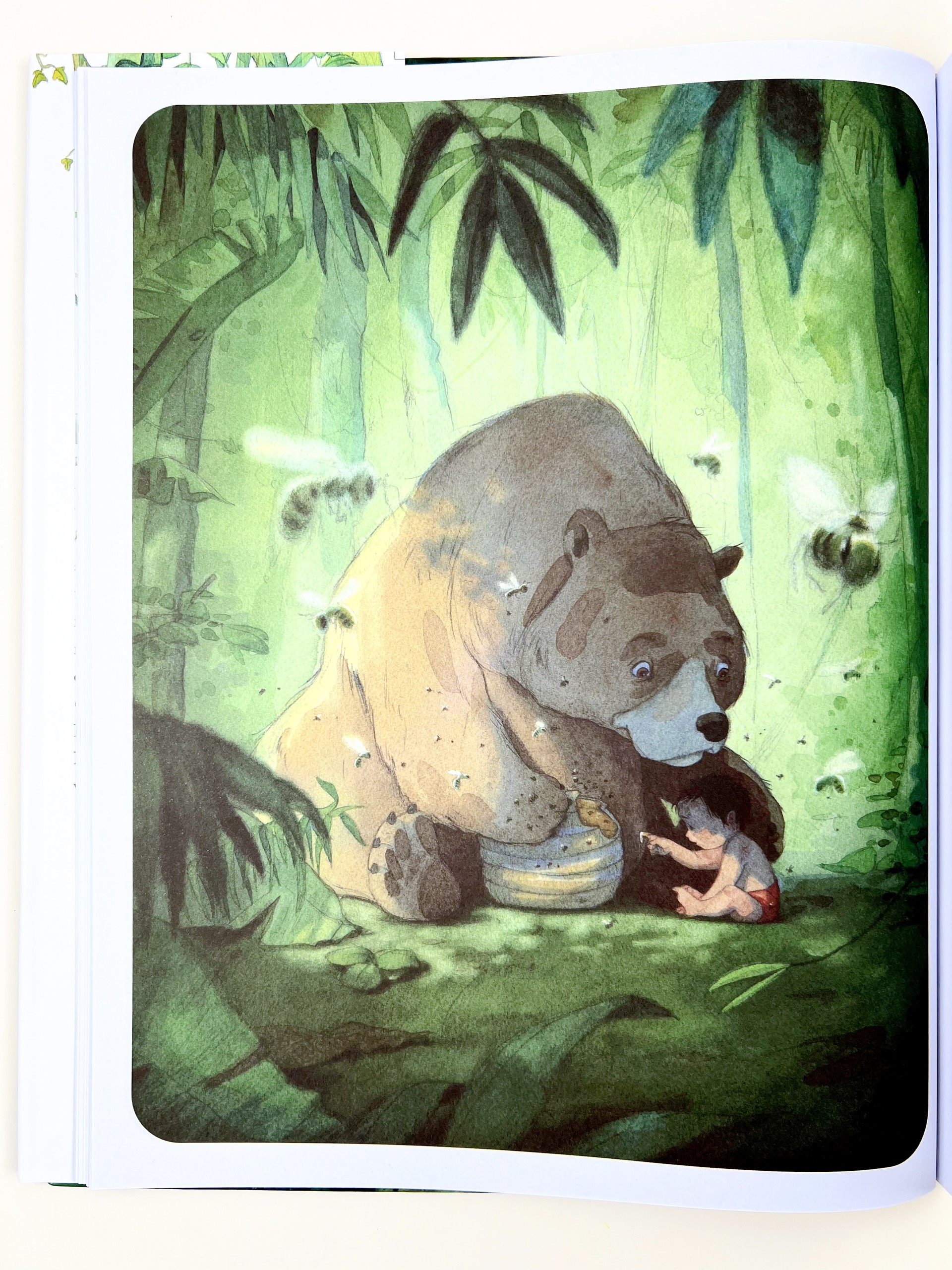 Sách - Chuyện Rừng Xanh (Phiên Bản Tranh Minh Họa) - Crabit KidBooks - Bìa Cứng