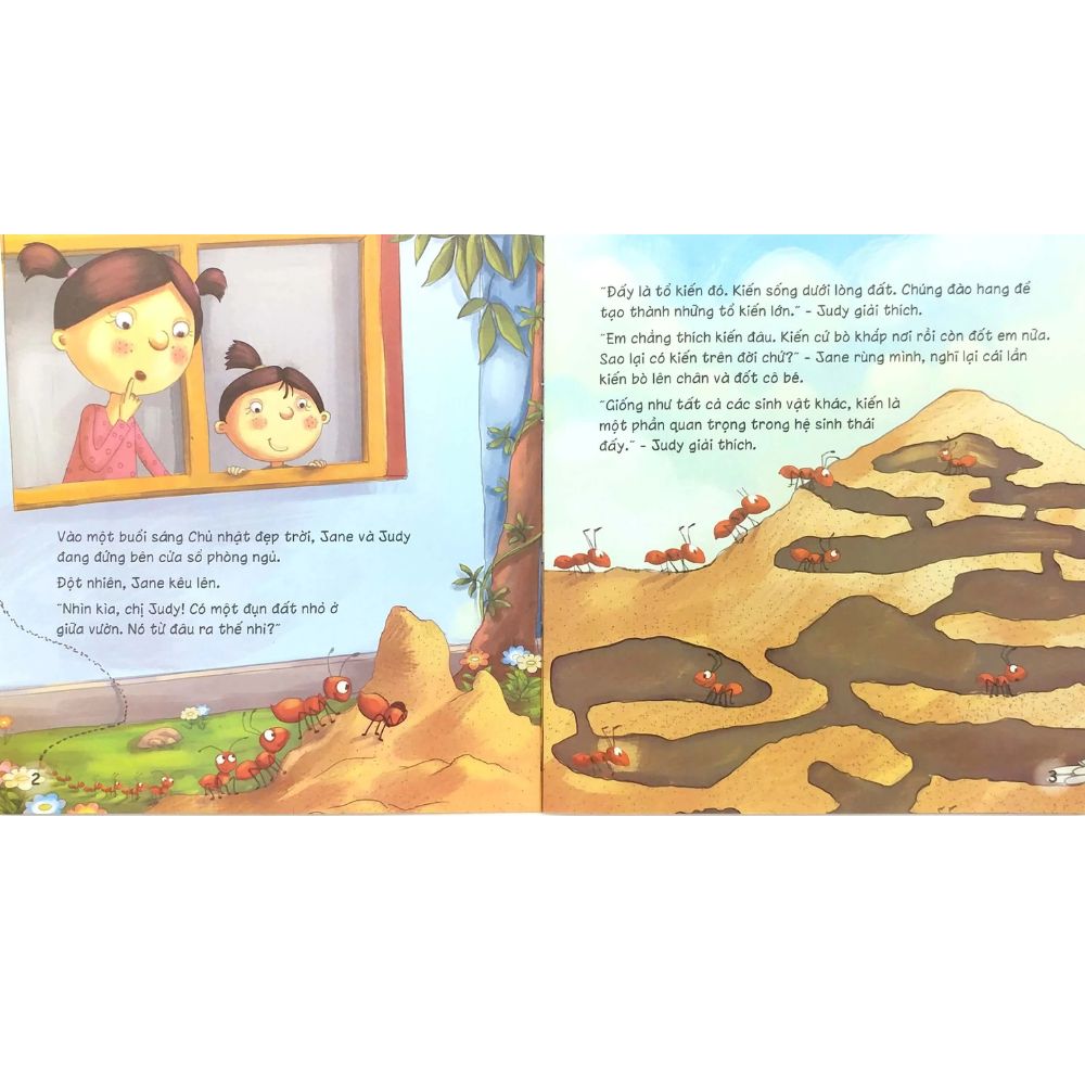 Yêu Thương Và Bảo Vệ Hành Tinh Xanh - Hệ Sinh Thái Mạng Lưới Của Sự Sống