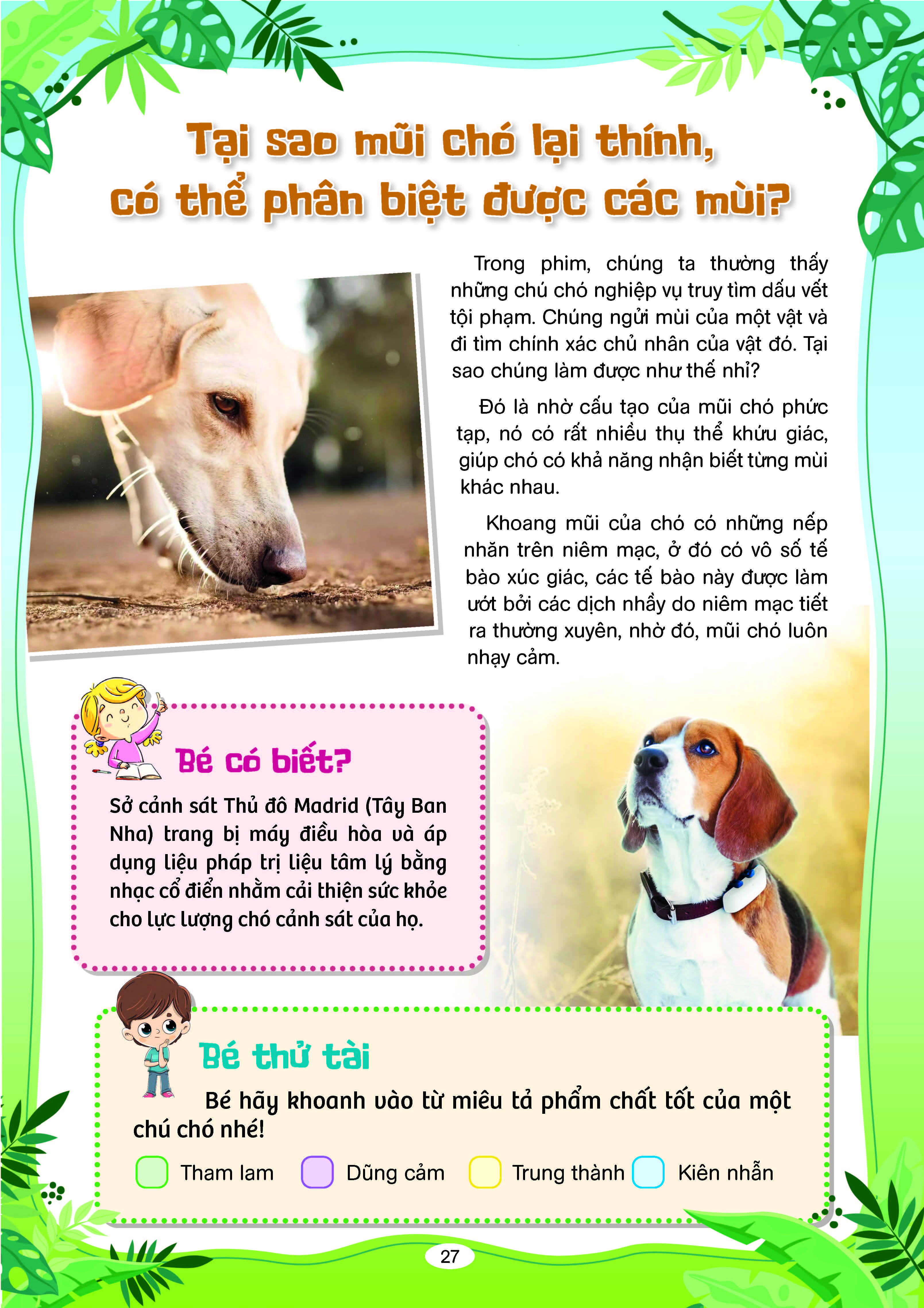 10 Vạn Câu Hỏi Vì Sao - Cùng Trẻ Khám Phá Thế giới Xung Quanh - Sách Phát Triển Tư Duy Và Ngôn Ngữ Cho Trẻ