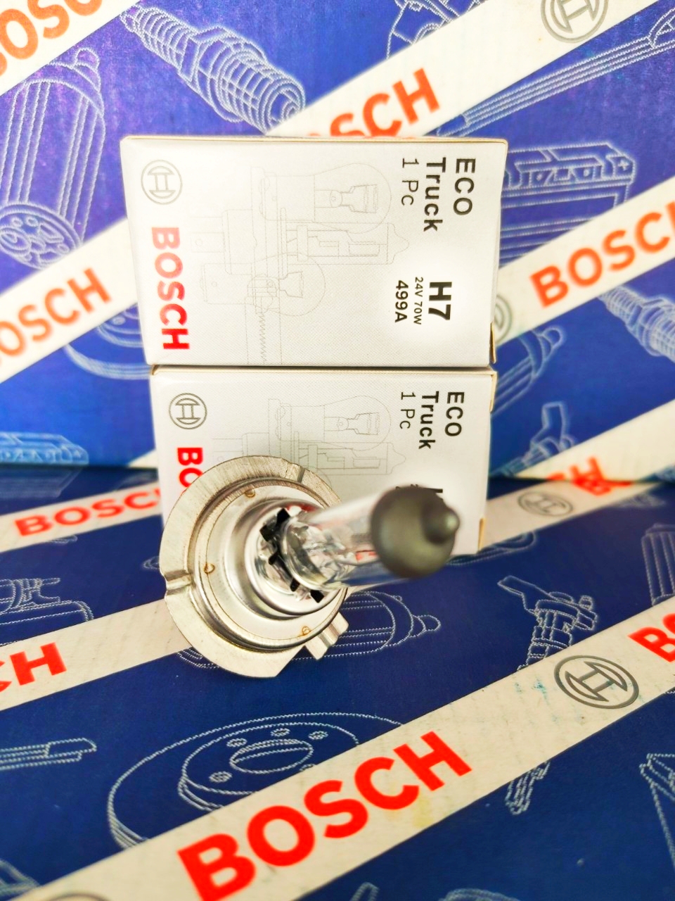 Bóng Đèn Xe Tải Bosch H7 24V 70W