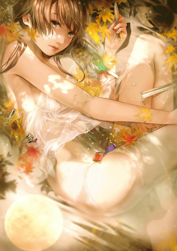 Bakemonogatari 16 (Special Edition) (Japanese Edition)