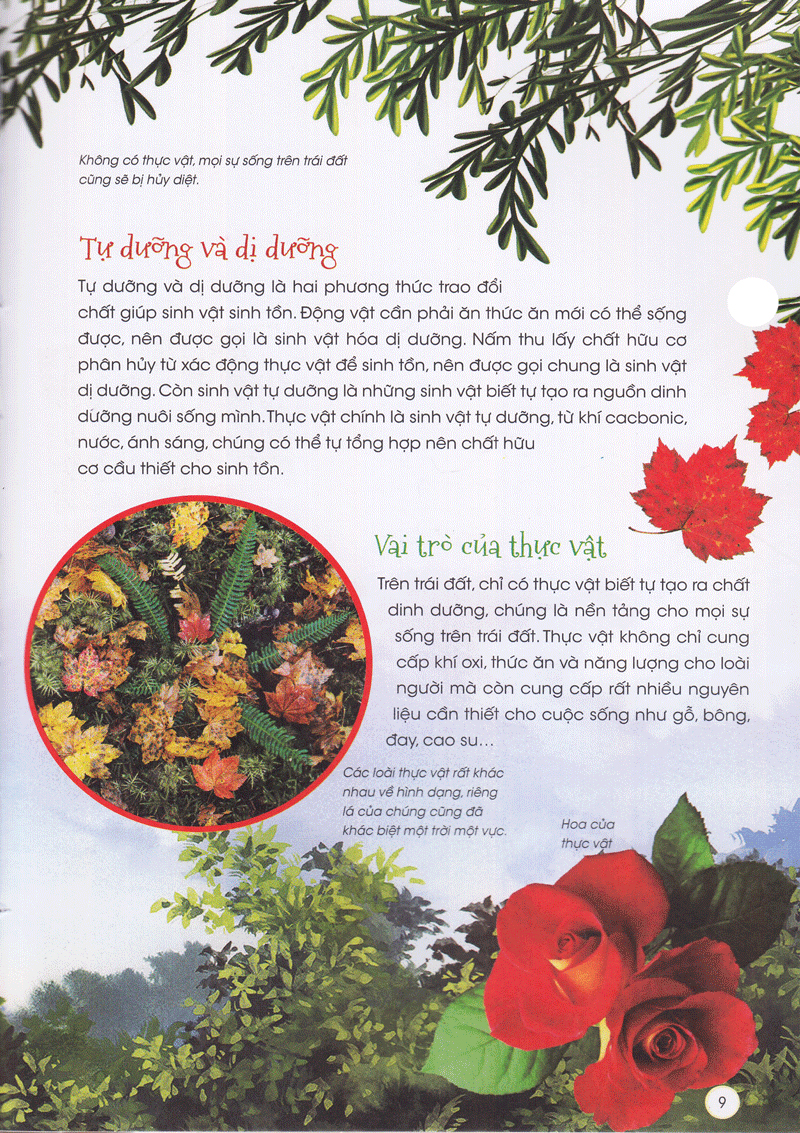 Thiên Nhiên- Những Bí Mật Còn Ẩn Giấu - Gia Đình Thực Vật - 2HBooks