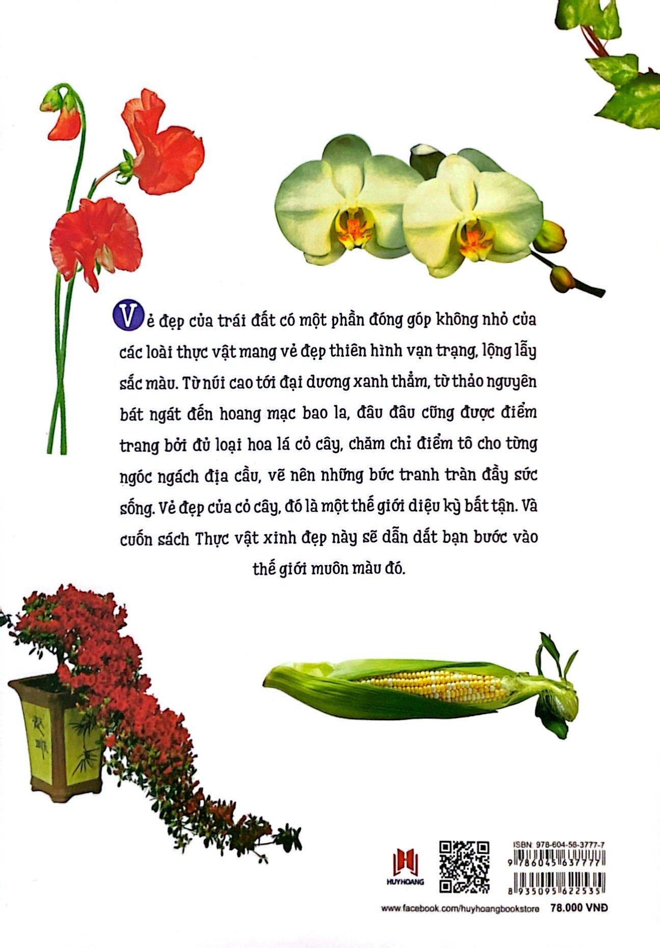 Thực Vật Xinh Đẹp
