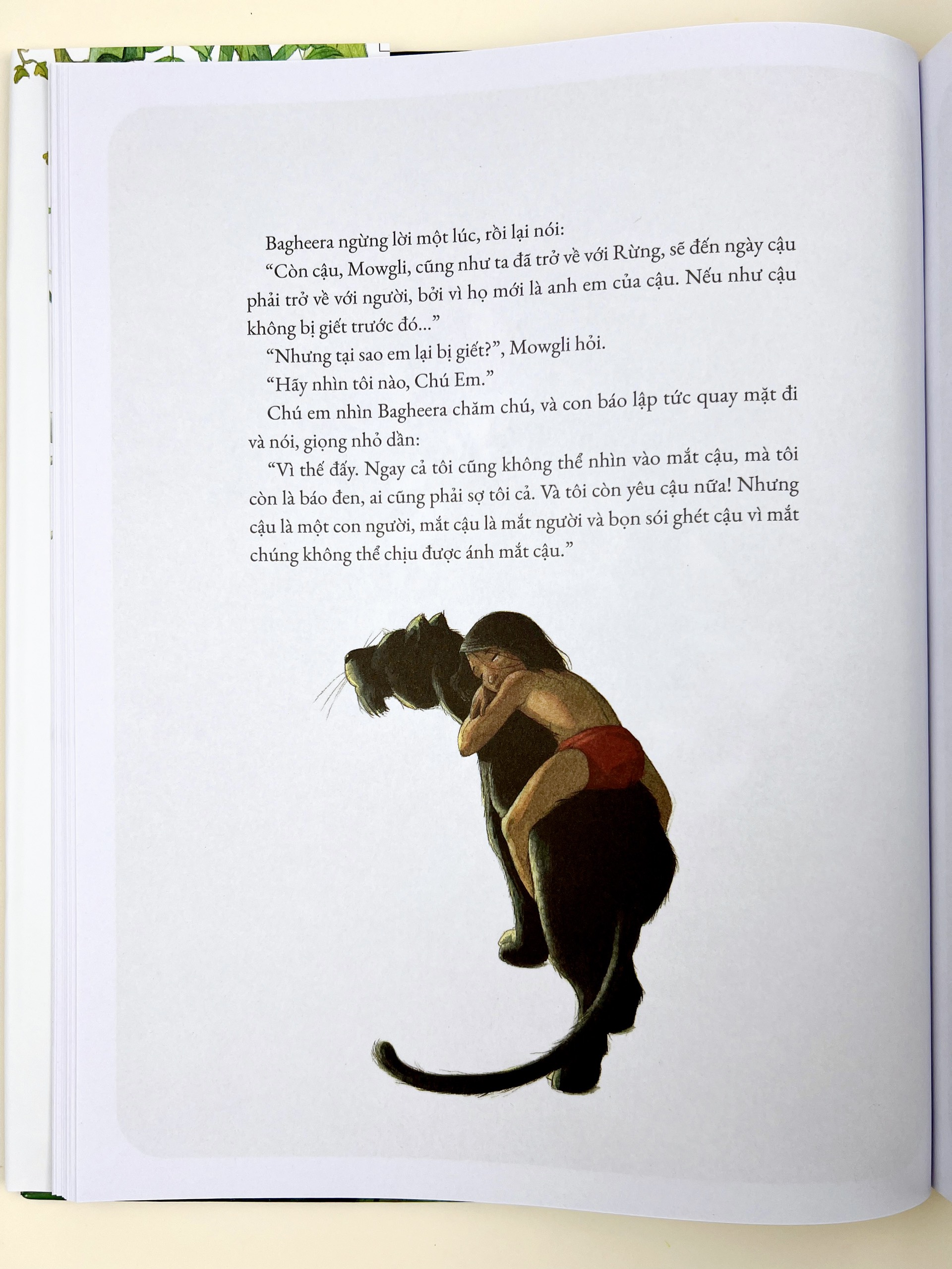 Sách - Chuyện Rừng Xanh (Phiên Bản Tranh Minh Họa) - Crabit KidBooks - Bìa Cứng