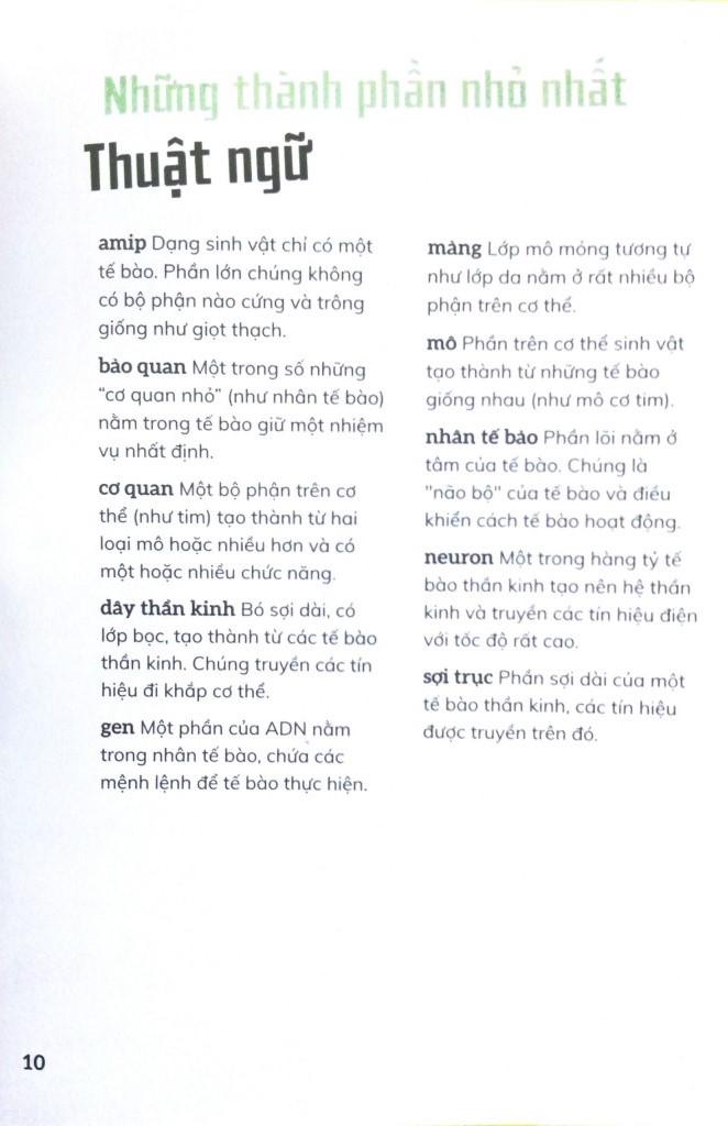 Cơ Thể Người - Trong 30 Giây
