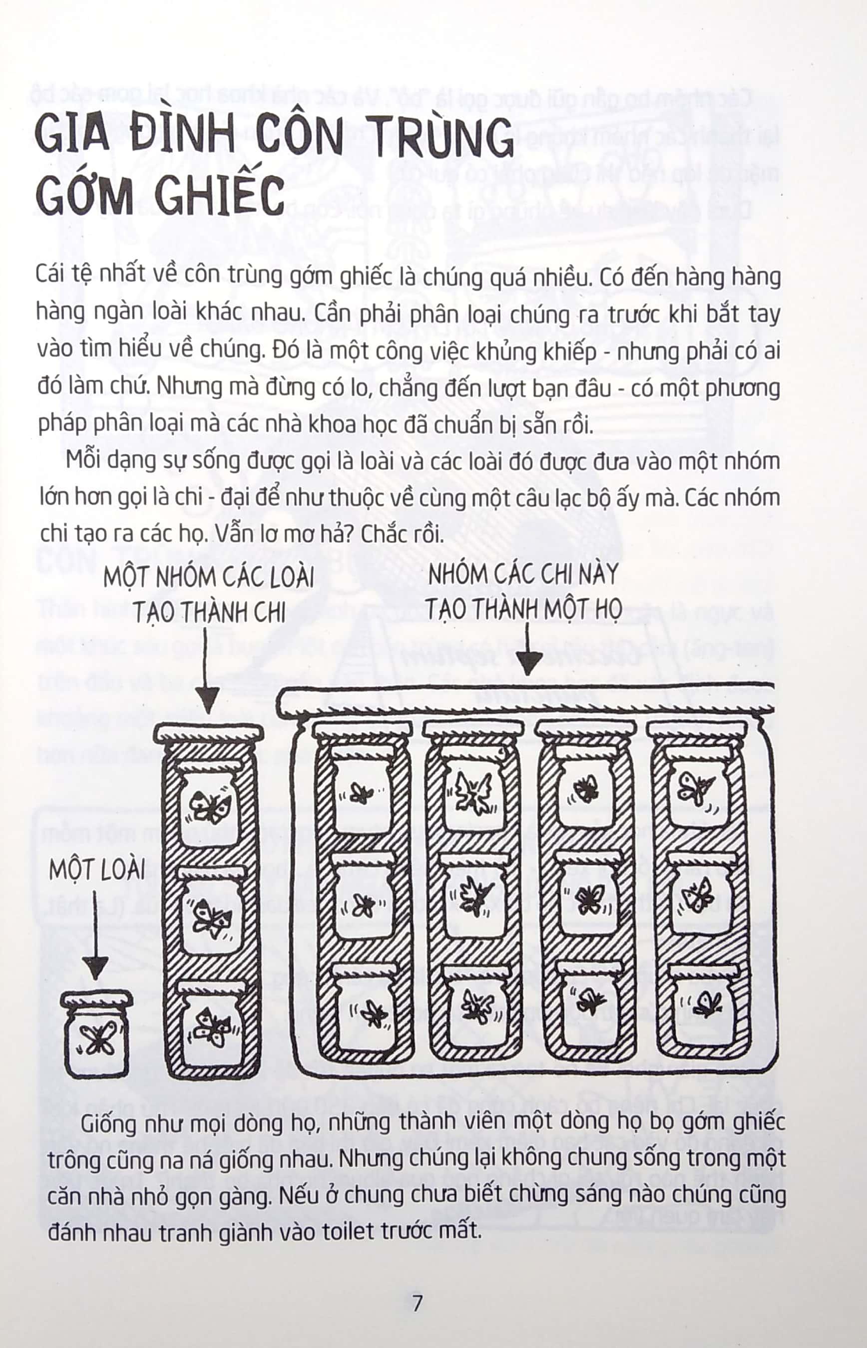 Côn Trùng Gớm Ghiếc (Tái Bản)