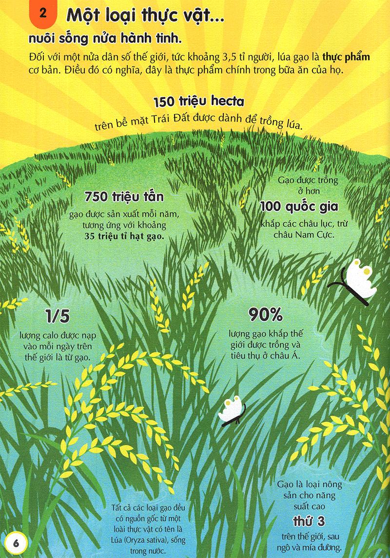 100 Bí Ẩn Đáng Kinh Ngạc Về Thức Ăn (USBORNE - 100 Things To Know About Food)