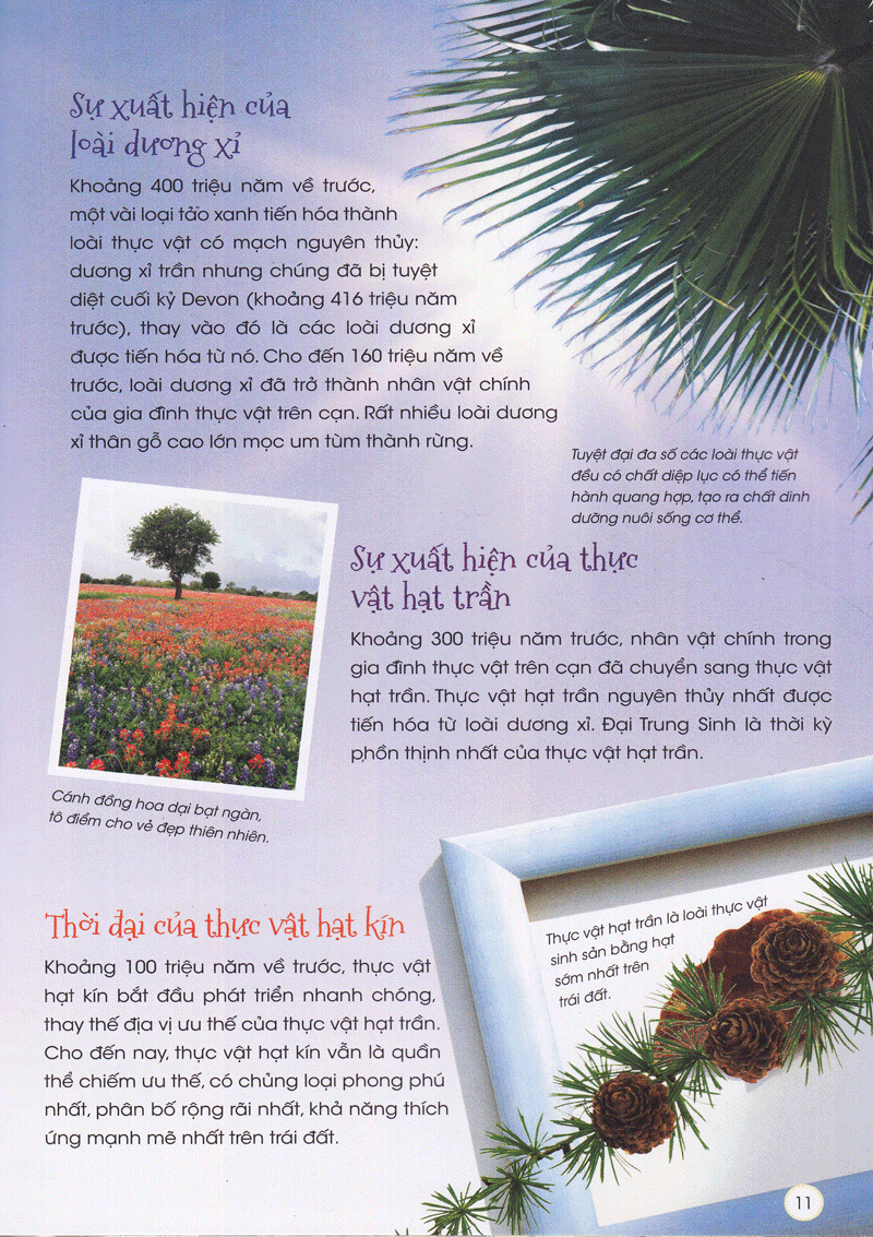 Thiên Nhiên- Những Bí Mật Còn Ẩn Giấu - Gia Đình Thực Vật - 2HBooks