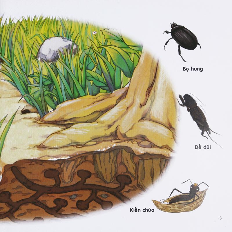 Chú Mèo Kẹo Bi Phiêu lưu Trong Xứ Sở Côn Trùng (Tập 2): Trong Lòng Đất