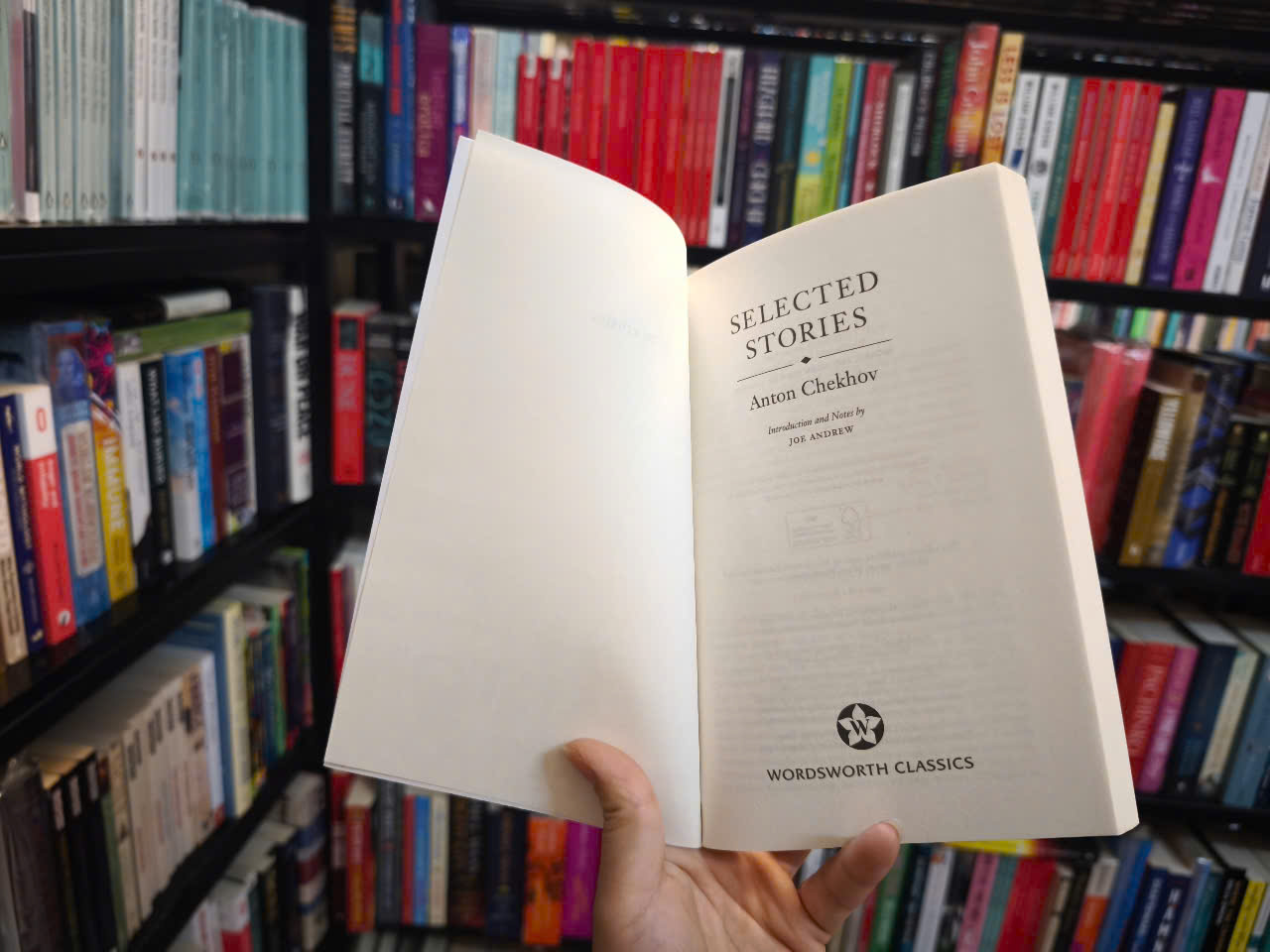 Sách - Selected Stories of Anton Chekhov by Anton Chekhov - (Wordsworth Classics) - Short Stories/ Fiction /Classics in English