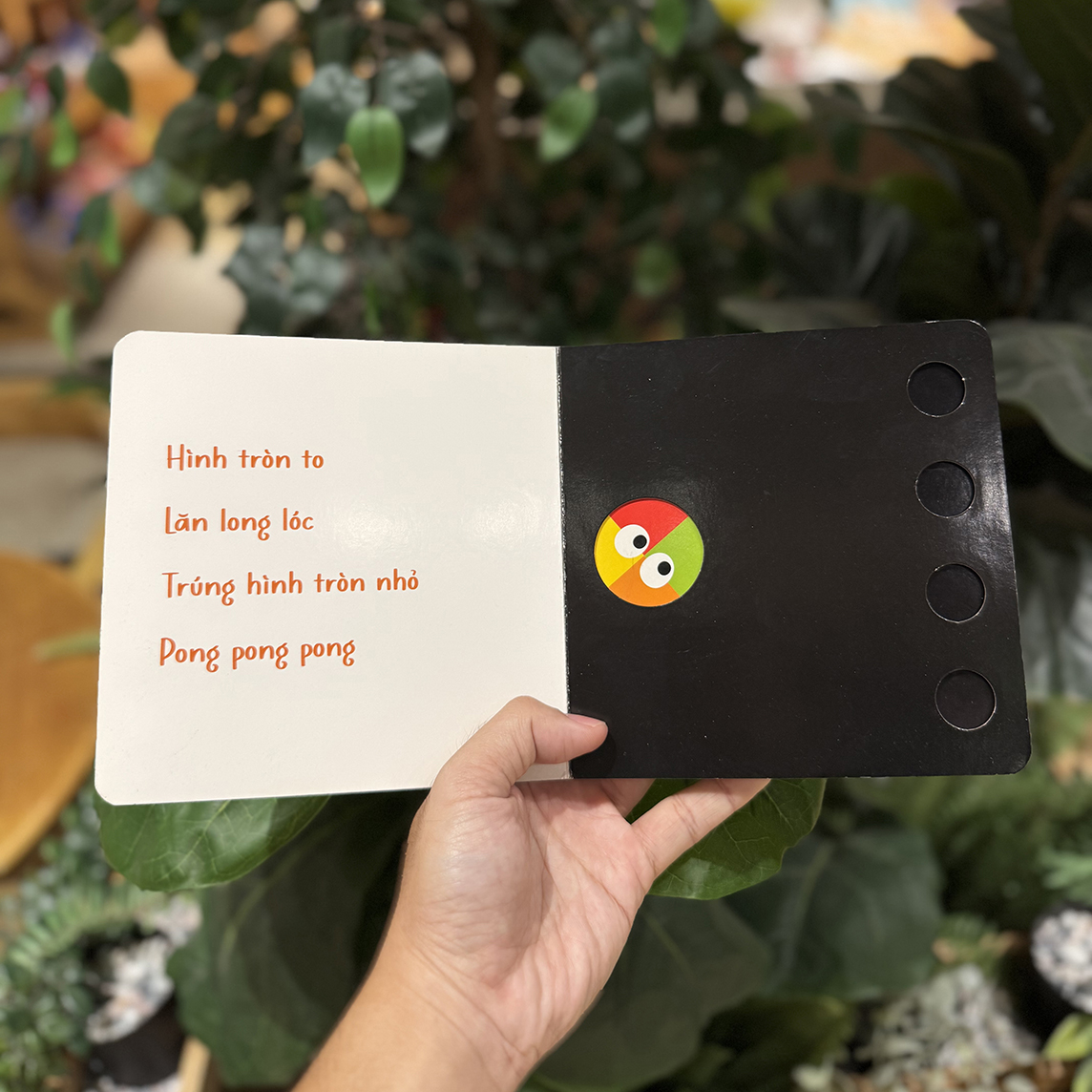 Tròn lăn long lóc - Vui chơi cùng hội họa