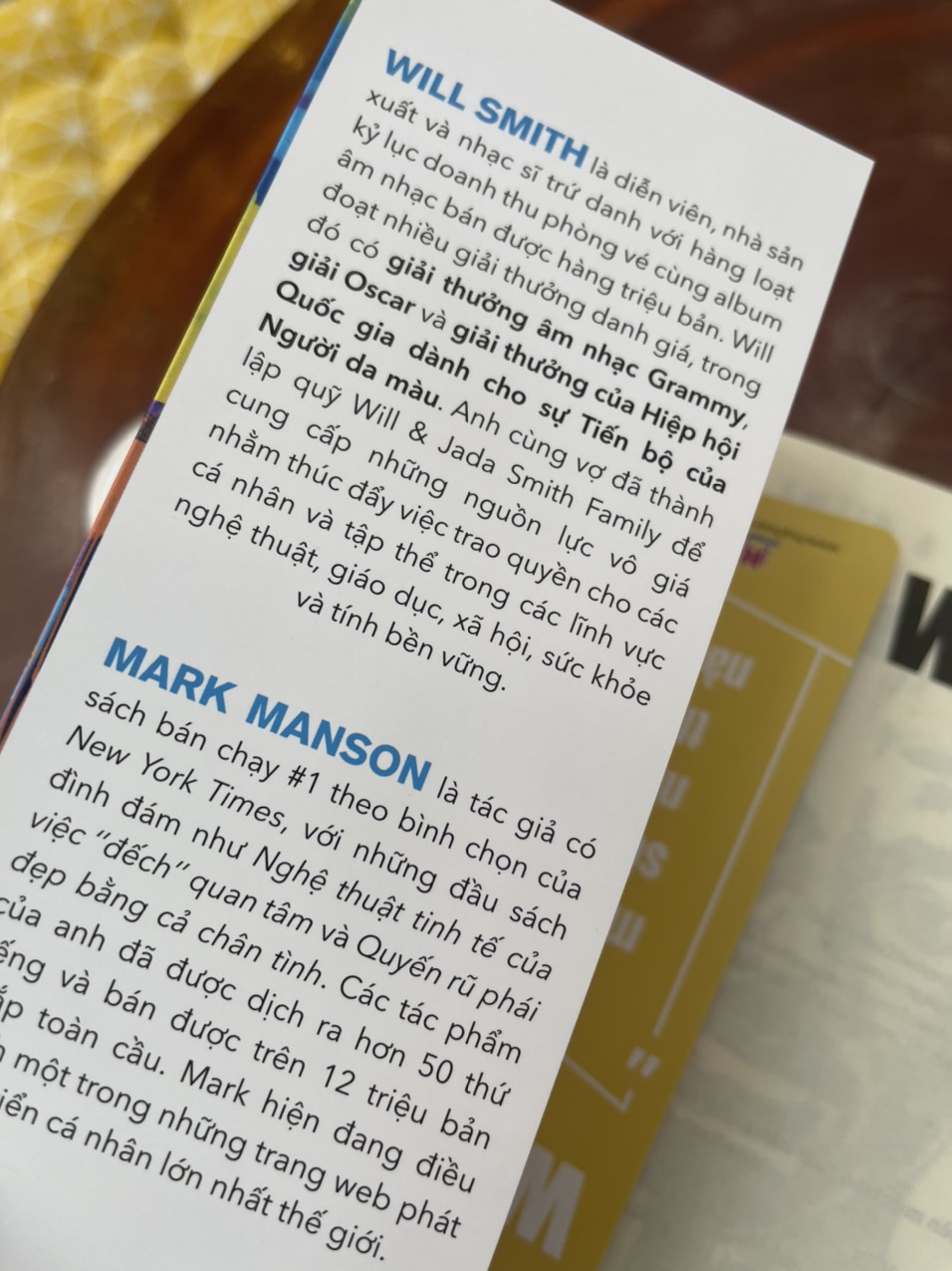 WILL – Will Smith & Mark Manson – Hoàng Ly dịch – Huy Hoang Books