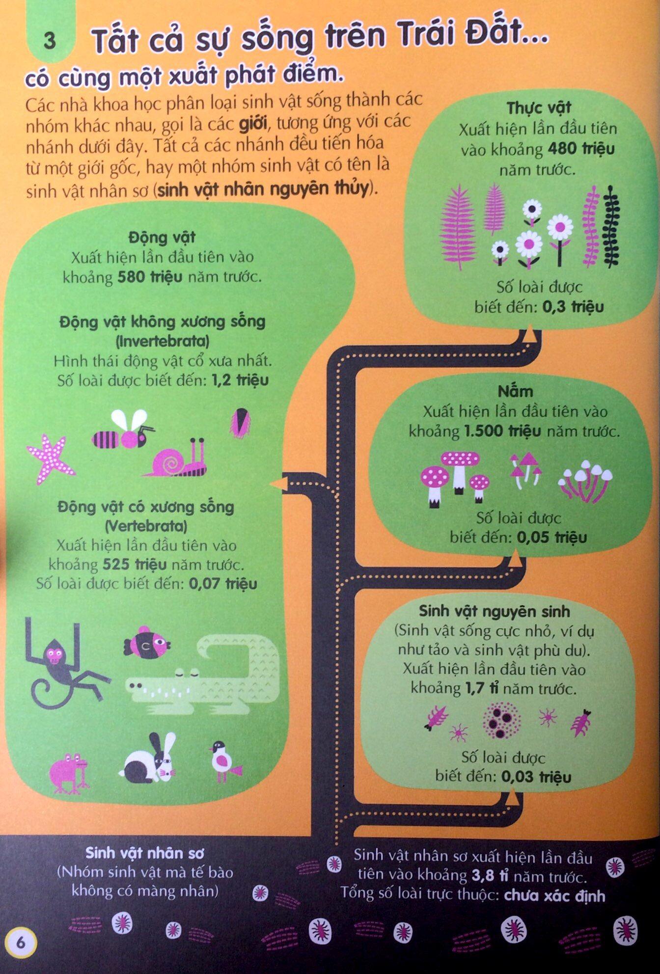 100 Bí Ẩn Đáng Kinh Ngạc Về Khoa Học (USBORNE - 100 Things To Know About Science)