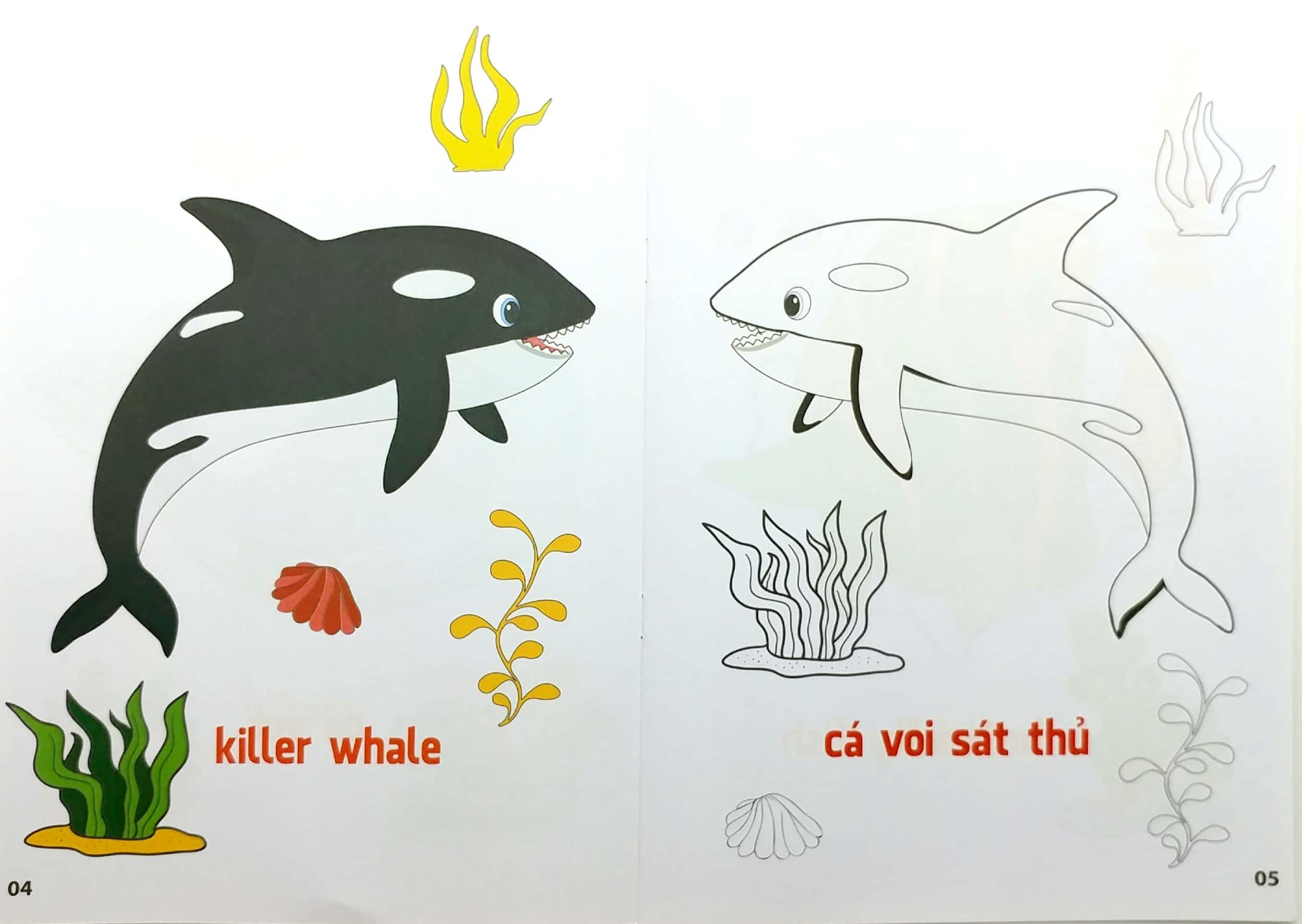 Tô Màu Động Vật Sống Dưới Nước - Song Ngữ Anh-Việt - Tập 1 (Tái Bản 2023)