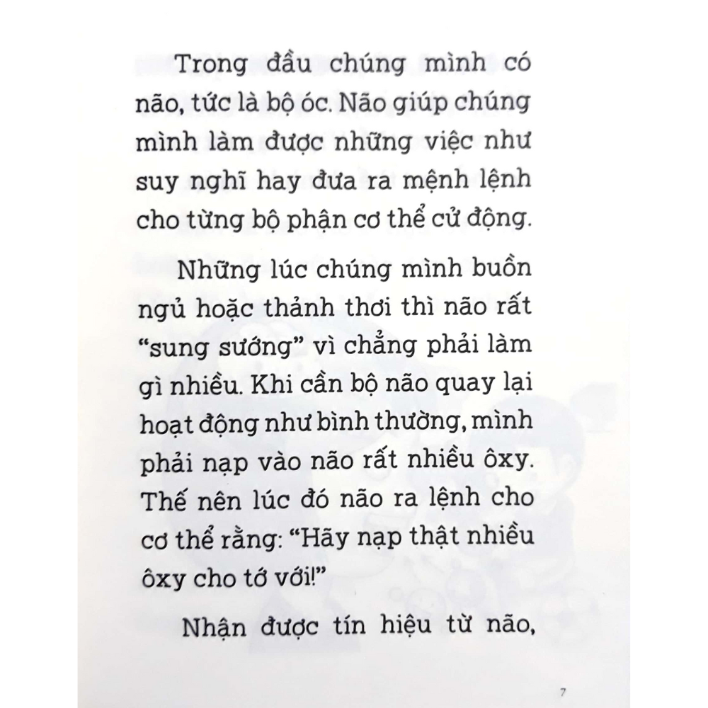 Thủ Thỉ Kiến Thức Lớp 1