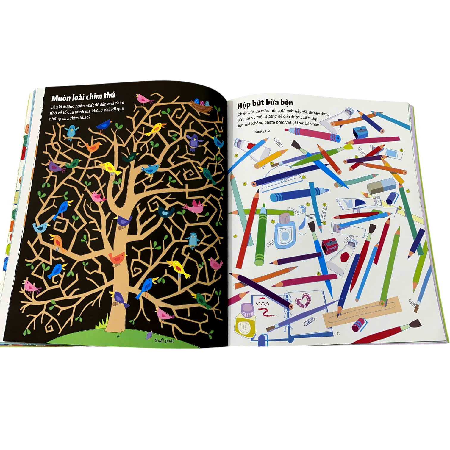 Mê Cung Phát Triển Tư Duy (Big Maze Book)