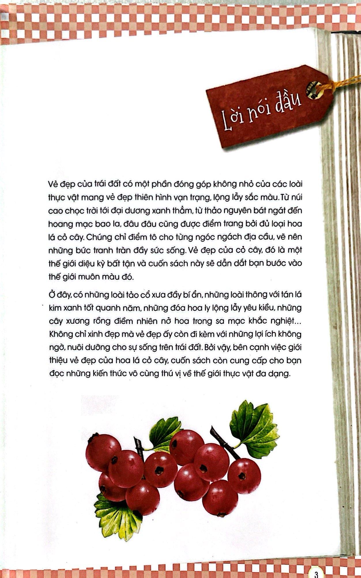 Thực Vật Xinh Đẹp