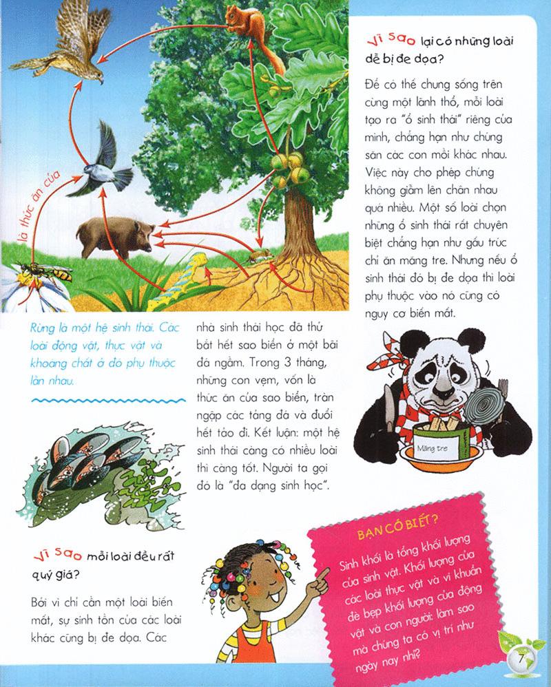 Vì Sao? Như Thế Nào? - Sinh Thái (Tái Bản)