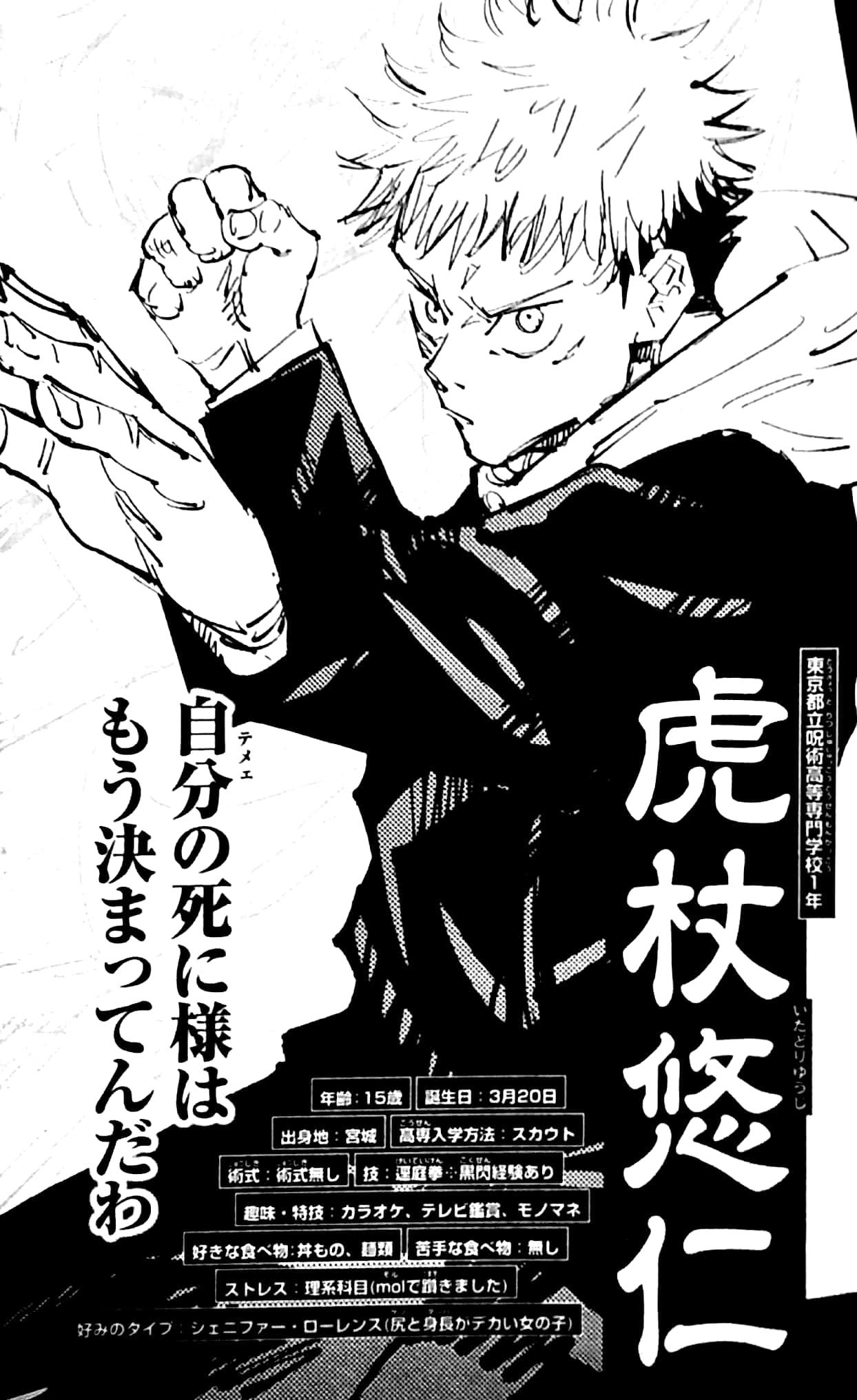 呪術廻戦 公式ファンブック (ジャンプコミックス)