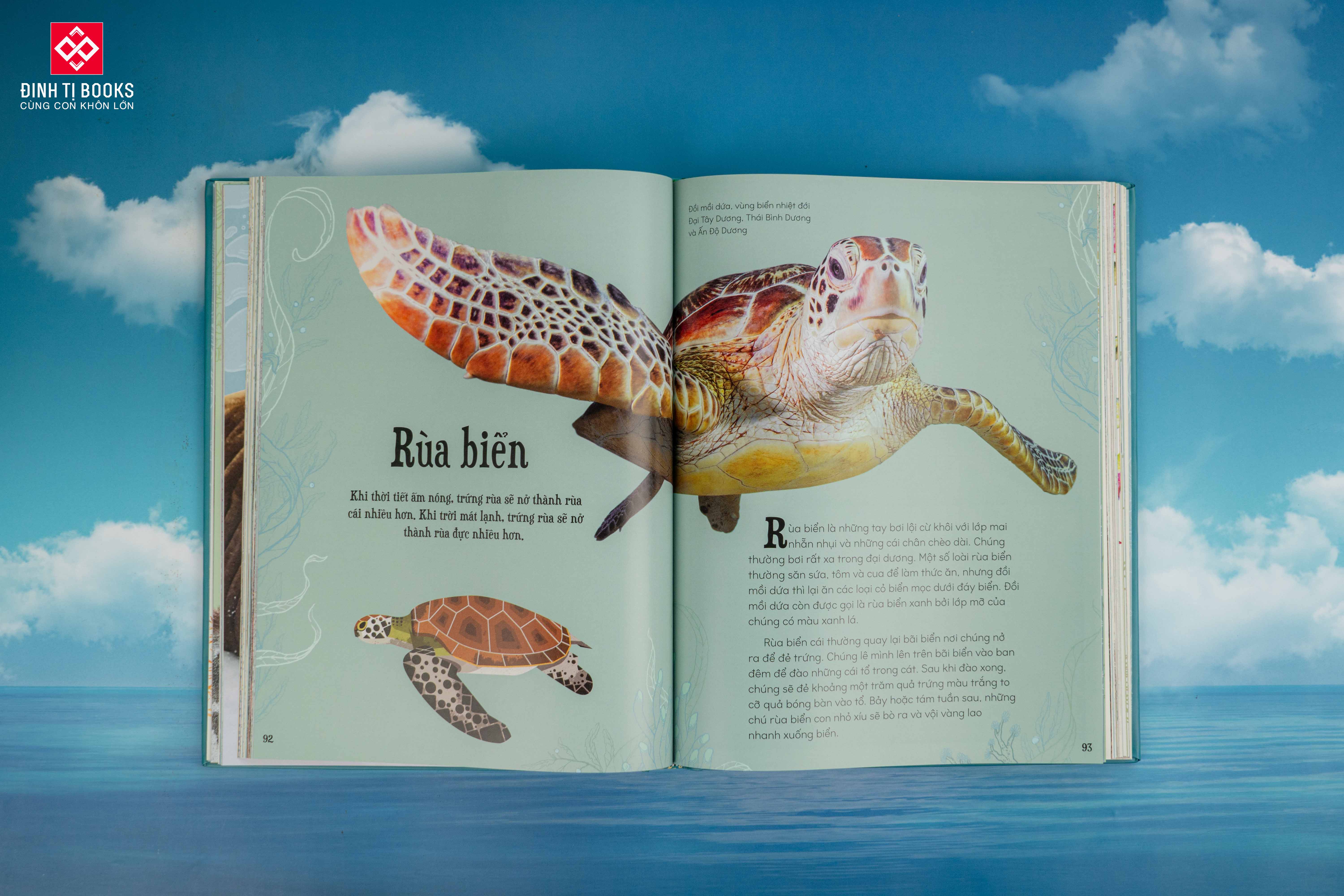 Sách - Bách khoa thư kỳ thú về Vũ trụ - Đinh Tị Books