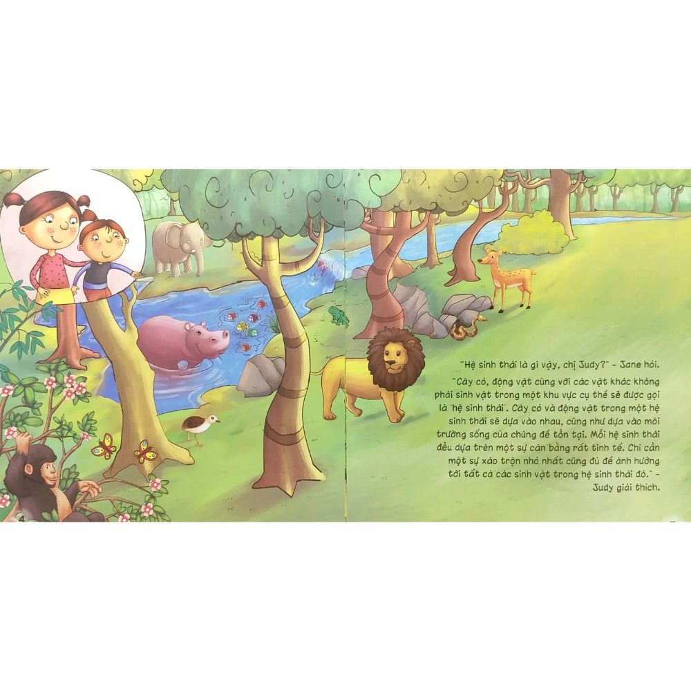 Yêu Thương Và Bảo Vệ Hành Tinh Xanh - Hệ Sinh Thái Mạng Lưới Của Sự Sống