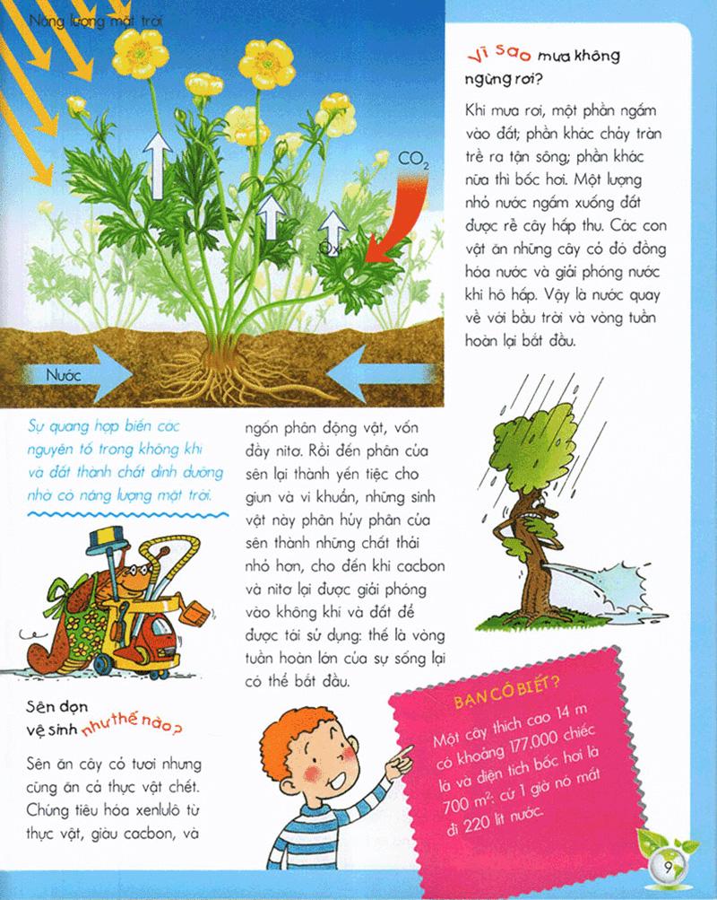 Vì Sao? Như Thế Nào? - Sinh Thái (Tái Bản)
