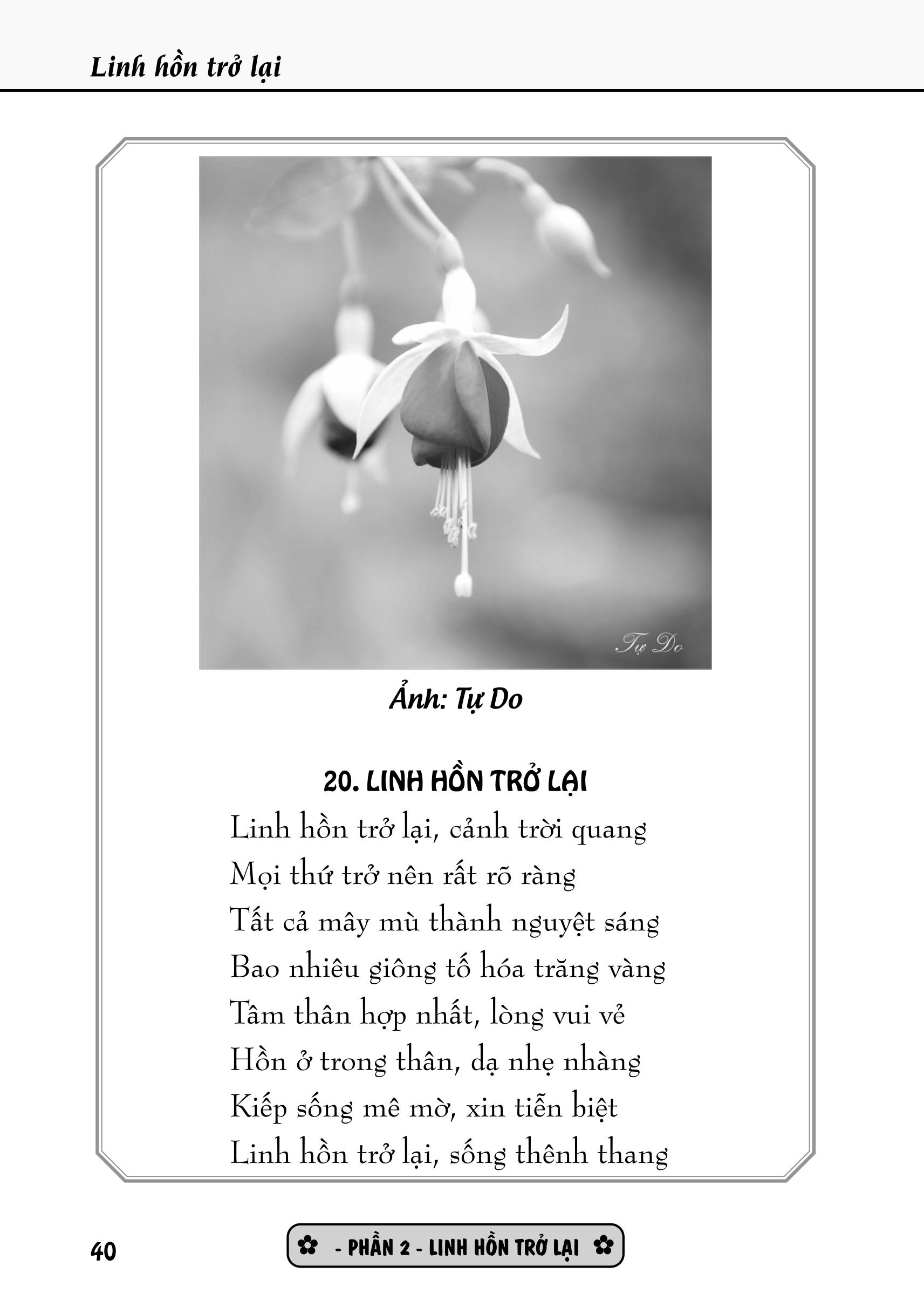 Tập Thơ Linh Hồn Trở Lại - Tự Do