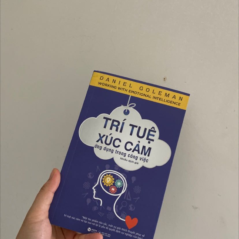 Trí Tuệ Xúc Cảm Ứng Dụng Trong Công Việc (Tái Bản)
