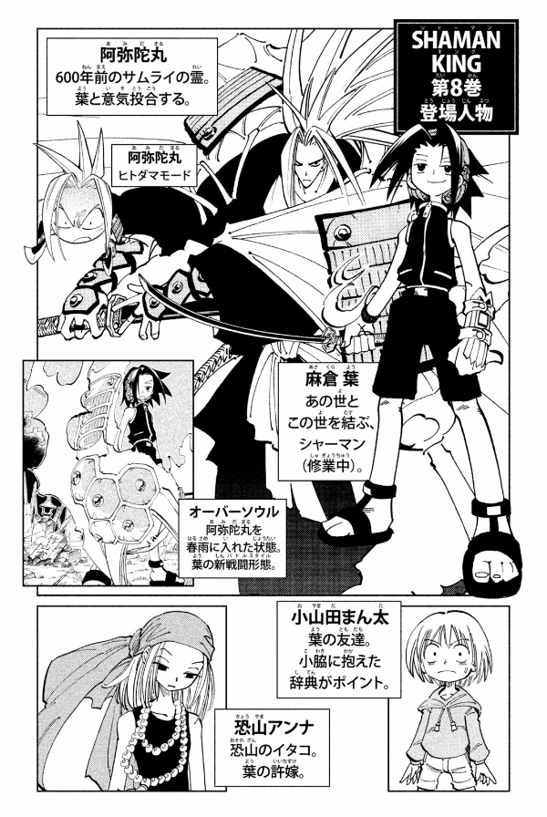 SHAMAN KING 8