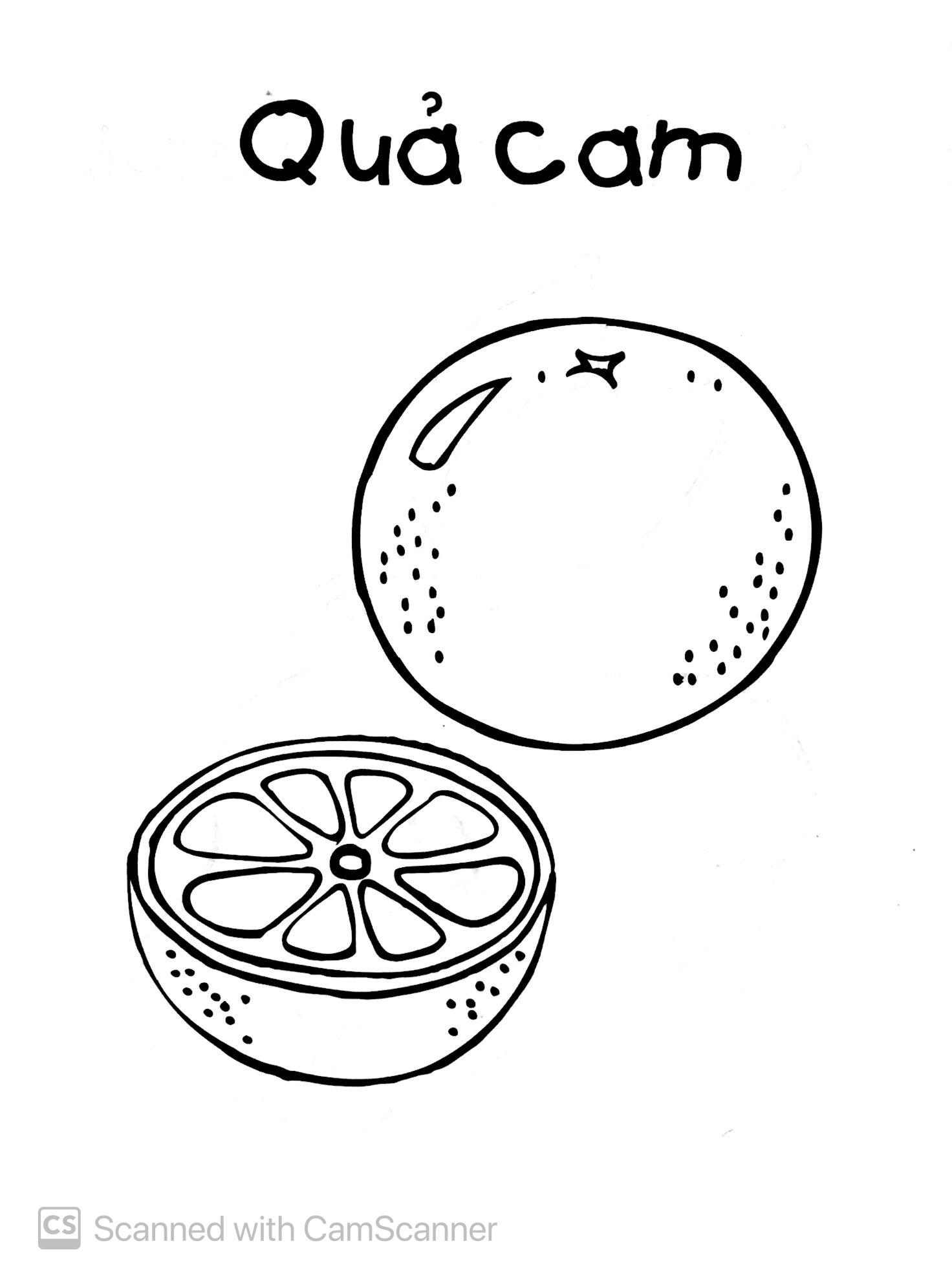 Bé Tập Tô Màu - Trái Cây (Tái Bản)