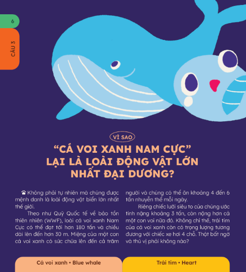 Sách - 10 Vạn Câu Hỏi Vì Sao? - Bộ 5 Cuốn In Màu: Động Vật, Thực Vật, Vũ Trụ Huyền Bí, Cơ Thể Người, Khoa Học Thú V