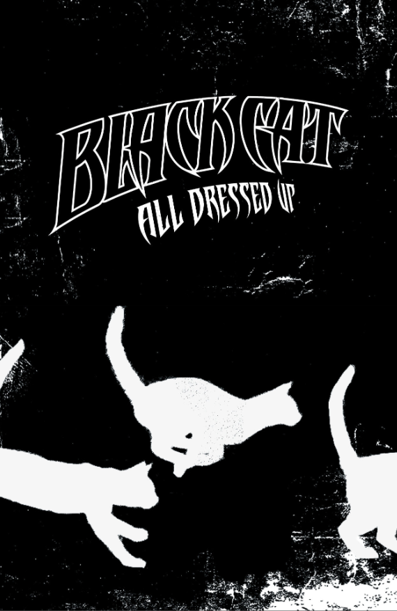 Black Cat Vol. 3