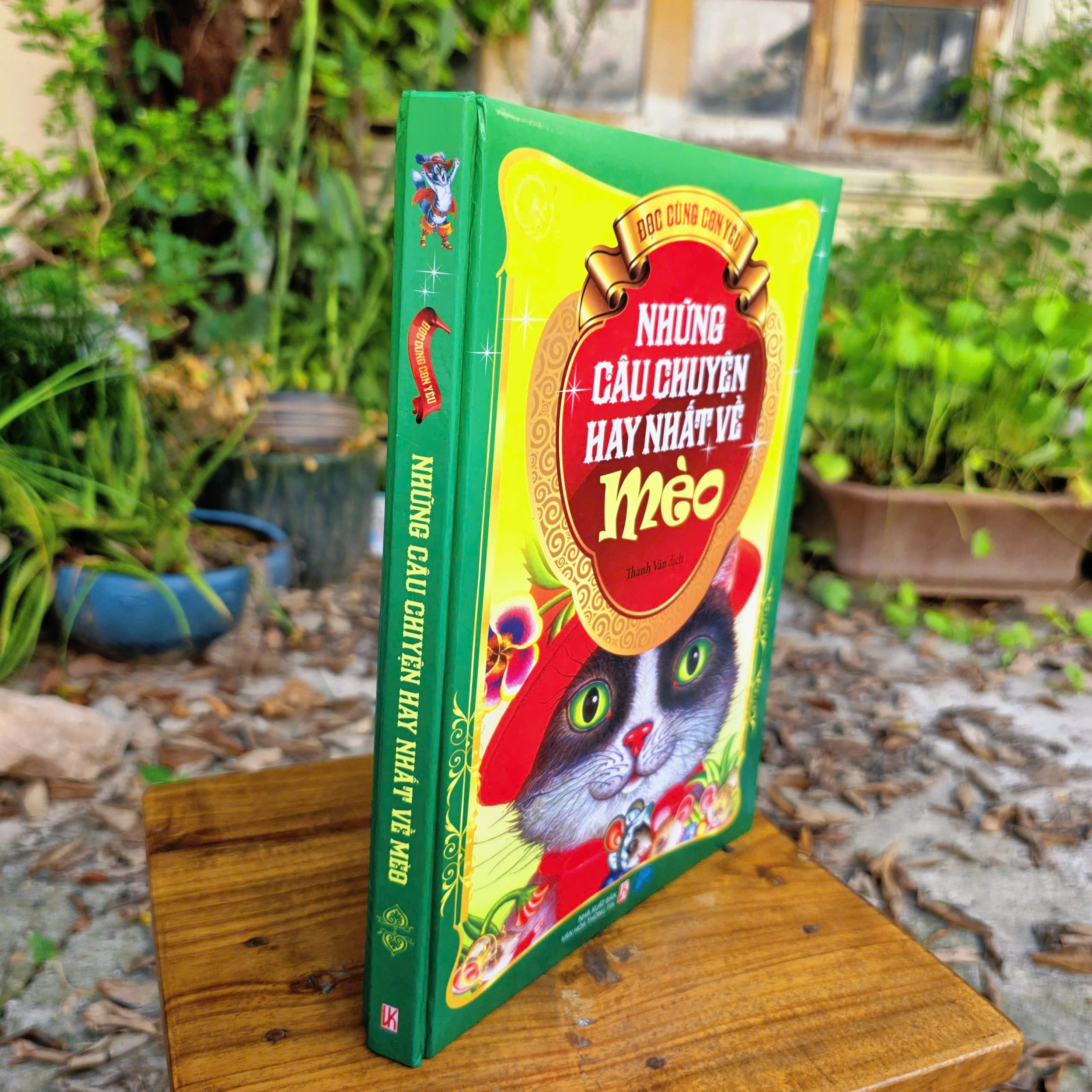 Những Câu Chuyện Hay Nhất Về Mèo