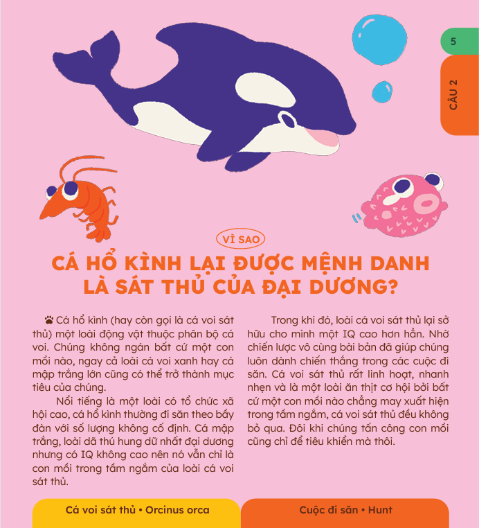 Sách - 10 Vạn Câu Hỏi Vì Sao? - Bộ 5 Cuốn In Màu: Động Vật, Thực Vật, Vũ Trụ Huyền Bí, Cơ Thể Người, Khoa Học Thú V