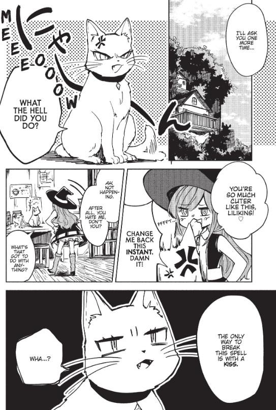 5 Seconds Before A Witch Falls In Love