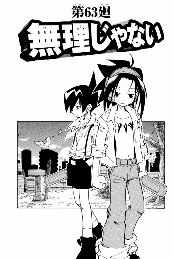 SHAMAN KING 8