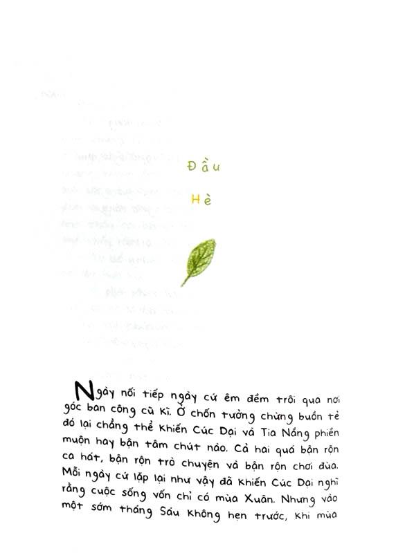 Cúc Dại Và Tia Nắng