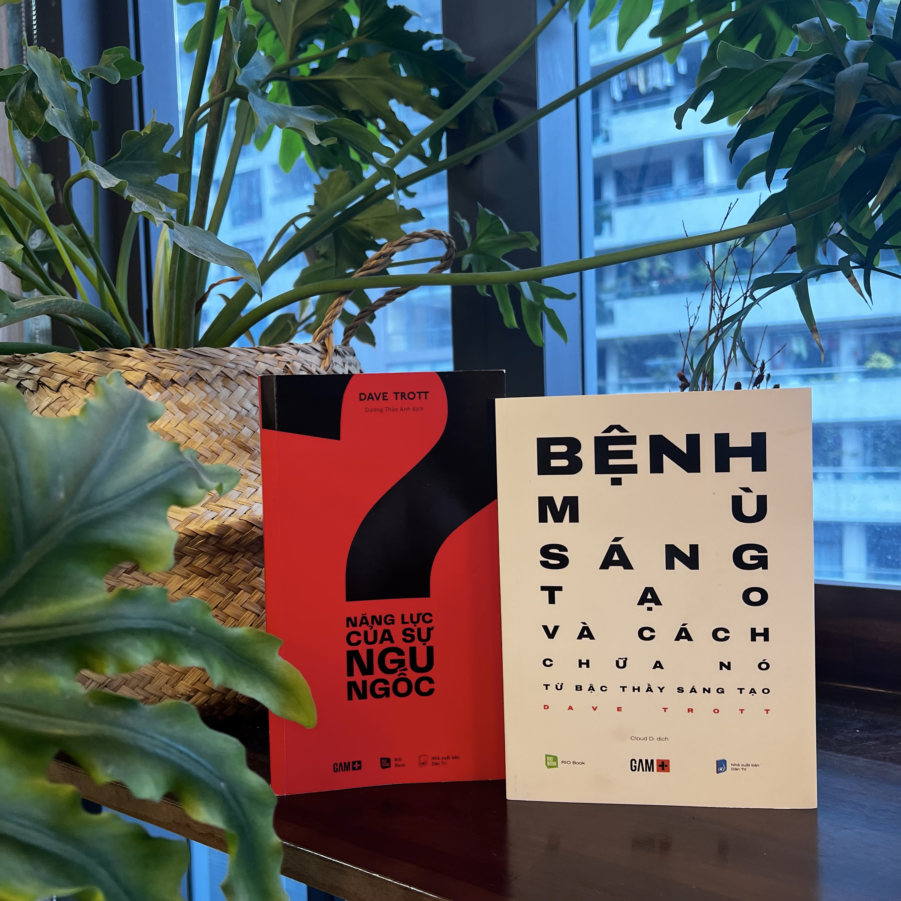Bộ sách SÁNG TẠO CÙNG BẬC THẦY DAVE TROTT (Bệnh mù sáng tạo và cách chữa nó + Năng lực của sự ngu ngốc)