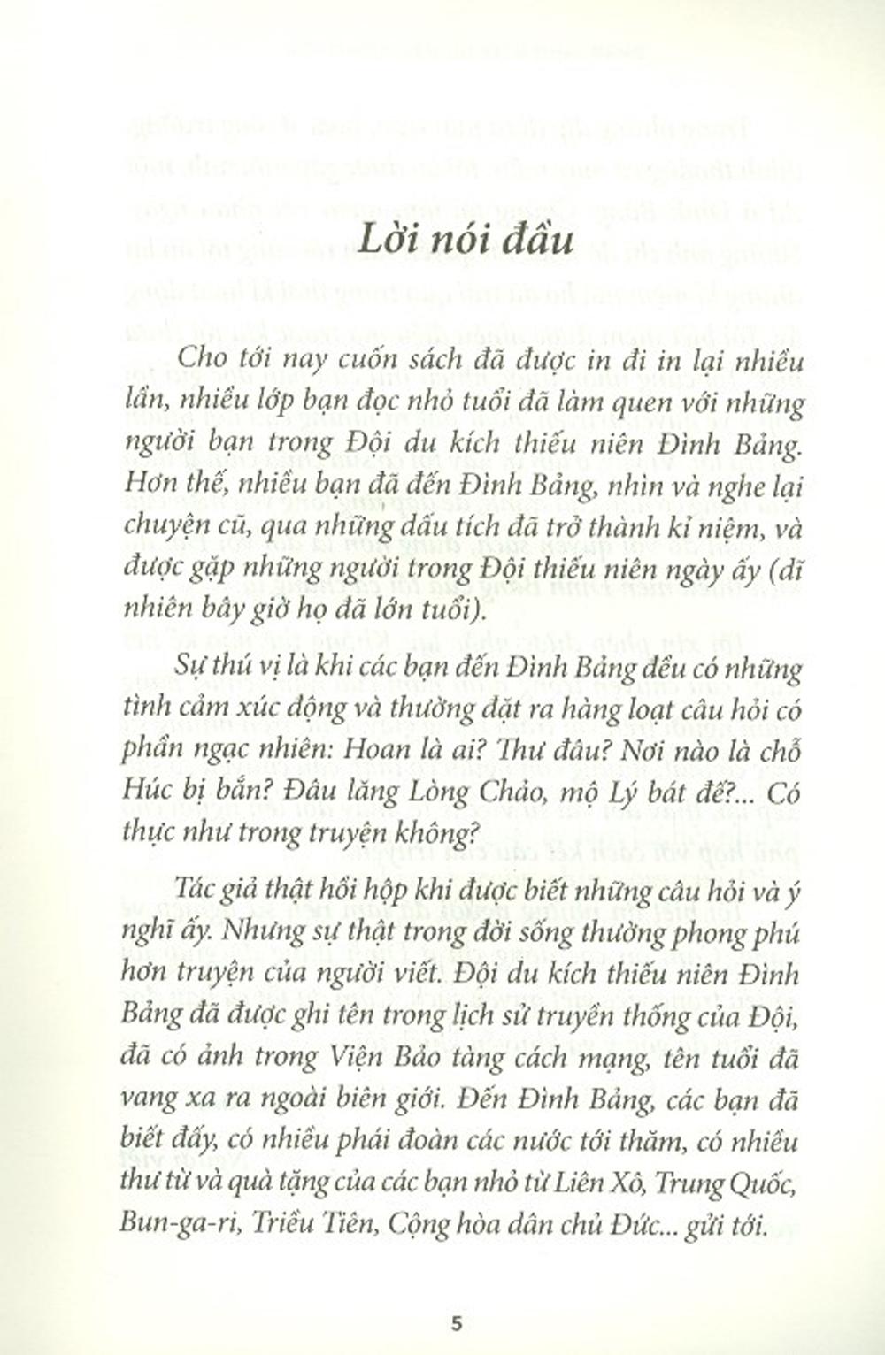 Đội Thiếu Niên Du Kích Đình Bảng (Tái Bản 2021)