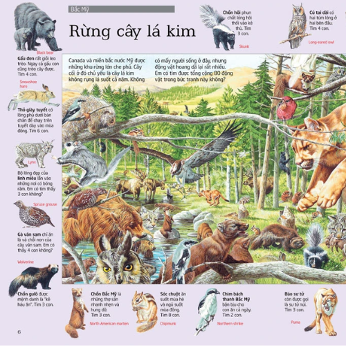 Thử tài tìm kiếm – Động vật