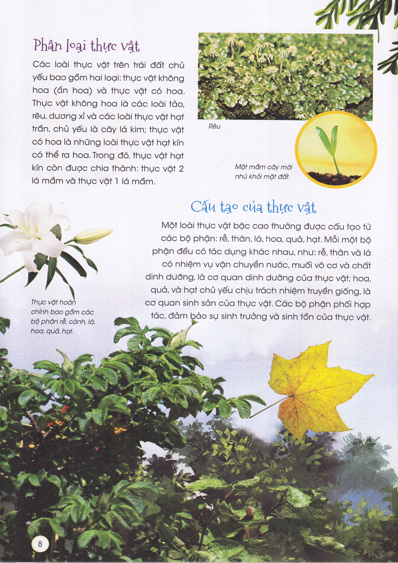 Thiên Nhiên- Những Bí Mật Còn Ẩn Giấu - Gia Đình Thực Vật - 2HBooks