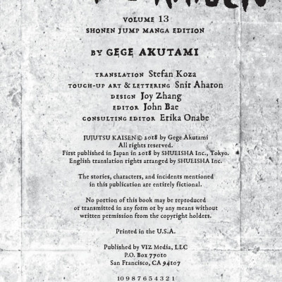 Jujutsu Kaisen 13 (English Edition)