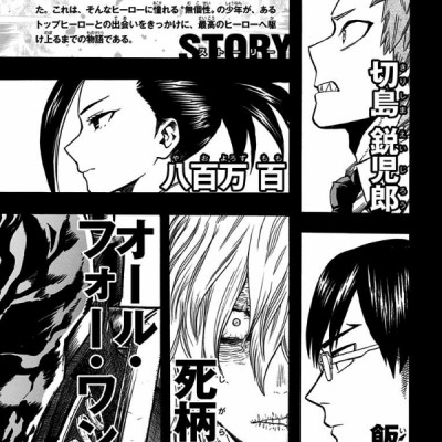 My Hero Academia 11 (Japanese Edition)