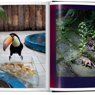 Artbook - Sách Tiếng Anh - Wolfgang Tillmans: four books