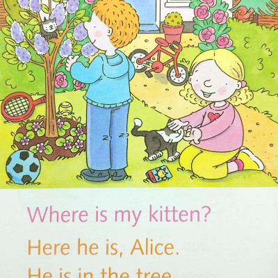 Dolphin Readers Level 1: Where Is It?