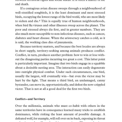 12 Rules for Life: An Antidote to Chaos