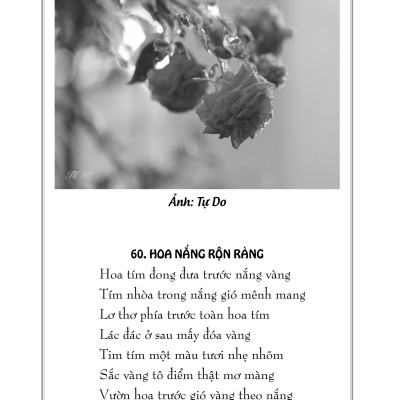 Tập Thơ Linh Hồn Trở Lại - Tự Do