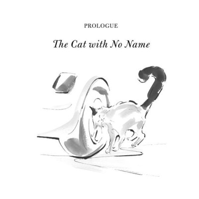 The Travelling Cat Chronicles